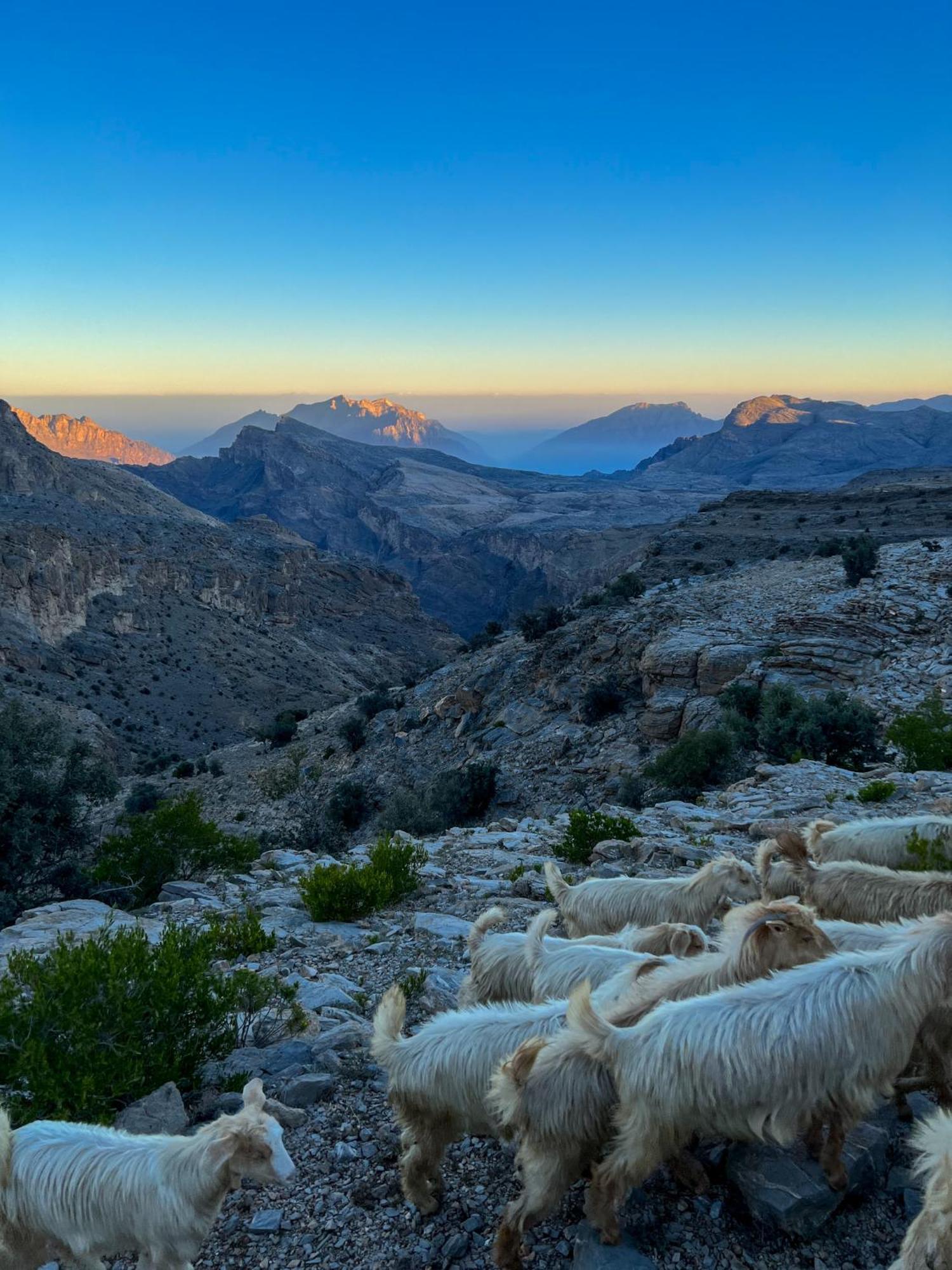 Отель The Suwgra-Al-Jabal Al-Akdar Saqrah Экстерьер фото